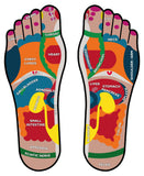 24 CE FL LMT Renewal Home Study Package: Foot Reflexology with Chair Event Massage