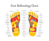 24 CE FL LMT Renewal Home Study Package: Foot Reflexology with Chair Event Massage