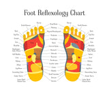 Self-paced Home Study 12 CE Foot Reflexology with Chair Event Massage