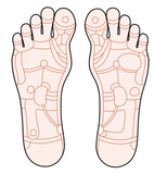 Self-paced Home Study 12 CE Foot Reflexology with Chair Event Massage