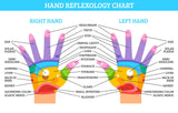 6 CE Hour Hand & Ear Reflexology (Computer-based Live Interactive Webinar)