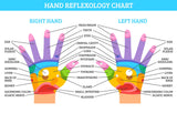 LIVE IN-PERSON 6 CE Hour Hand & Ear Reflexology