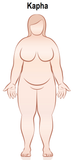 24 CE FL LMT Renewal Live Webinar & Home Study Package: Shirodhara with Ayurvedic Foot, Face & Head Marma Massage