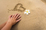 24 CE FL LMT Hybrid Renewal Live Webinar & Home Study Package: Lomi Lomi Massage Basics with Alohatherapy™