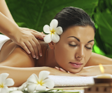 12 CE Hour Lomi Lomi Massage Basics with Alohatherapy™ (Computer-Based Live Interactive Webinar)