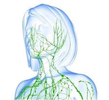 LIVE-IN PERSON 6 CE Hour Lymphatic Facial