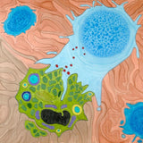 LIVE IN-PERSON 18 CE Hour Full Body Manual Lymphatic Drainage