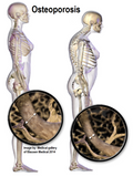 LIVE IN-PERSON 12 CE Hour Advanced Geriatric and Seniors Massage and Bodywork