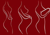 Self-paced Online Home Study 6 CE Prenatal Terms, Contraindications & Side Lying Massage