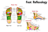 12 CE Hour Foot Reflexology Basics with Advanced Medical Foot Massage (Computer-Based Live Interactive Webinar)