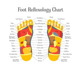 6 CE Hour Foot Reflexology Basics (Computer-based Live Interactive Webinar)