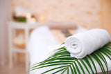 LIVE IN-PERSON 24 CE Hour Advanced Lava Lomi Lomi with Alohatherapy