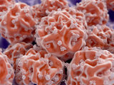 LIVE IN-PERSON 24 CE Advanced Oncology Bodywork with Manual Lymphatic Drainage