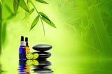 24 CE FL LMT Hybrid Renewal Package LIVE-IN PERSON 12 CE Aromatherapy & Hot Stone Massage Basics + 12 CE Self-paced Home Study