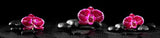 LIVE IN-PERSON 18 CE Hour Heavenly Hawaiian Lava Lomi Bodywork