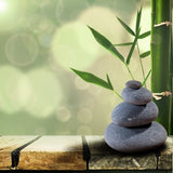 LIVE-IN PERSON 12 CE Aromatherapy & Hot Stone Massage Basics