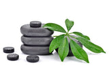 Self-paced Online Home Study 12 CE Hot Stone Massage Workshop