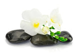 LIVE IN-PERSON 24 CE Hour Advanced Lava Lomi Lomi with Alohatherapy