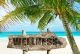 24 CE FL LMT Hybrid Renewal Package LIVE IN-PERSON 12 CE Hour Lomi Lomi Massage + 12 CE Self-paced Home Study